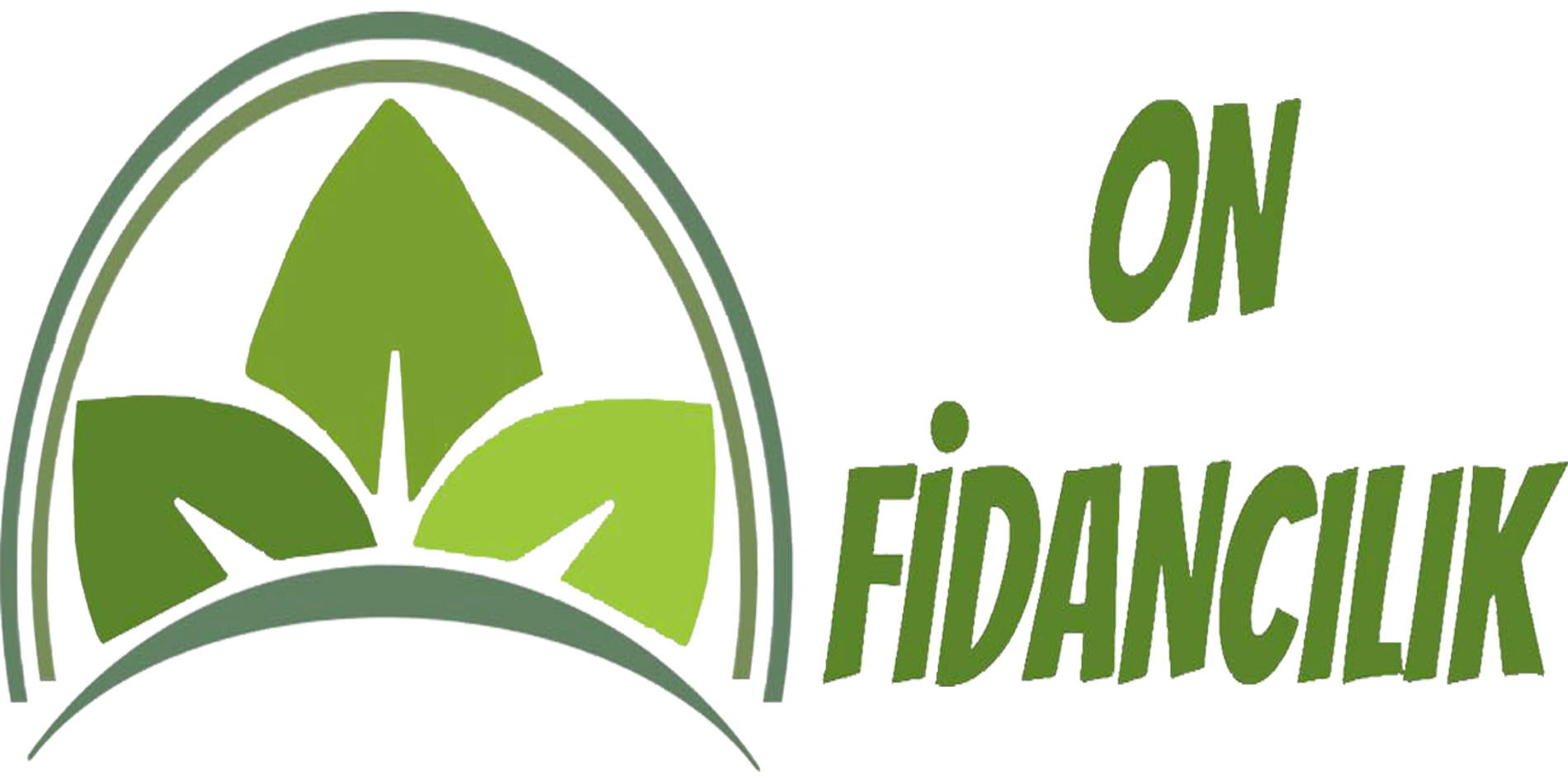 On Fidancılık